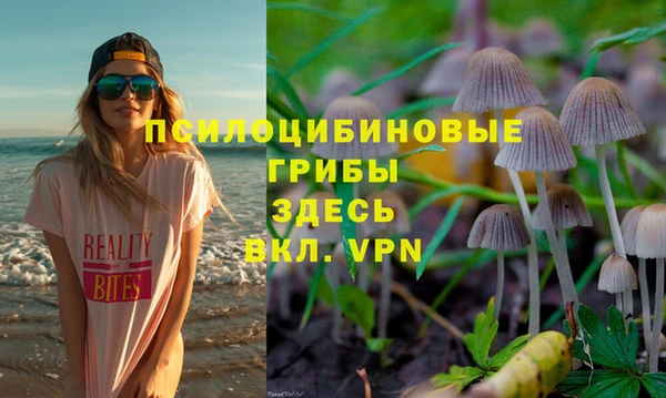 стафф Весьегонск