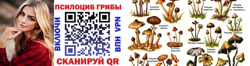 ОМГ ОМГ ССЫЛКА  Верхоянск  Псилоцибиновые грибы Cubensis 